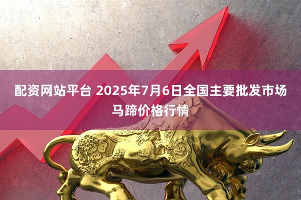 配资网站平台 2025年7月6日全国主要批发市场马蹄价格行情
