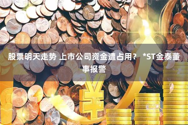 股票明天走势 上市公司资金遭占用？ *ST金泰董事报警