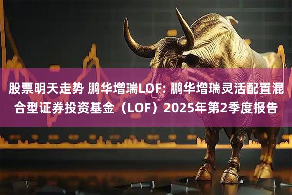 股票明天走势 鹏华增瑞LOF: 鹏华增瑞灵活配置混合型证券投资基金（LOF）2025年第2季度报告