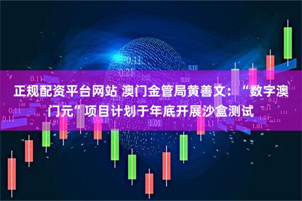正规配资平台网站 澳门金管局黄善文：“数字澳门元”项目计划于年底开展沙盒测试